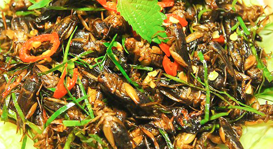 các món ăn đặc sản ở Buôn Mê Thuột - dế mèn xào lá chanh