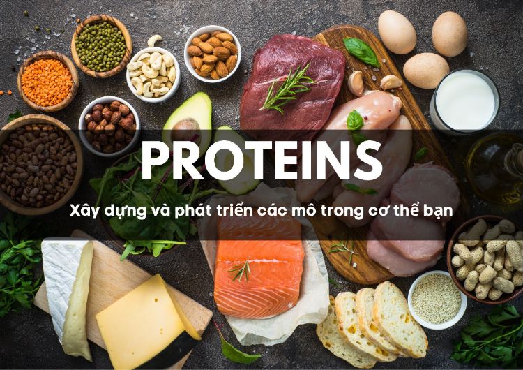 Protein giảm cân