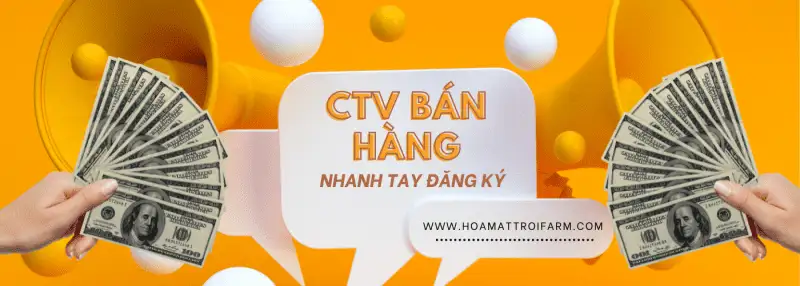 CTV Bán hàng