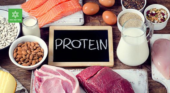Các thực phẩm giàu protein trong chế độ ăn giàu protein